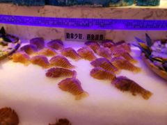 -澜悦港海鲜体验主题餐厅