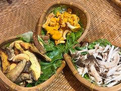 -滇野云南野生菌餐厅(陕西南路店)