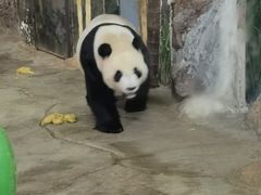 -海南热带野生动植物园