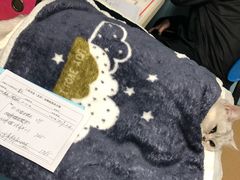 -瑞派·关忠动物医院·猫专科·犬专科(三环新城店)