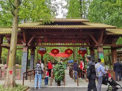 -东平国家森林公园