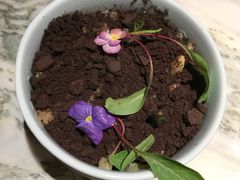 会长大的沙拉-绿茶餐厅(昌平悦荟店)