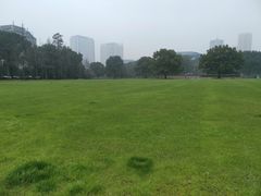 -武汉大学图书馆·文理学部总馆