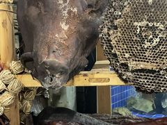 -怀化名堂(正清路店)