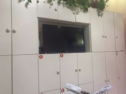 -香薇妮丝·定制减肥·身材管理