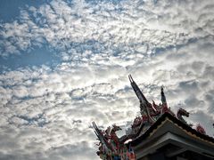 -五缘湾湿地公园