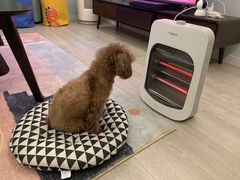 -有宠宠物(YOUCOIN·未来店)