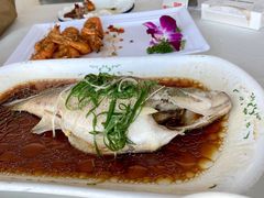 -云中小雅