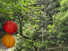-石台牯牛降景区