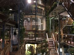 -Rainforest