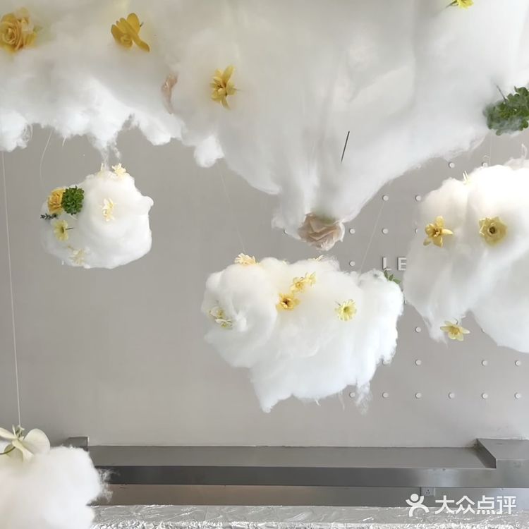 春天的正确打开方式（桑葚是个宝）！