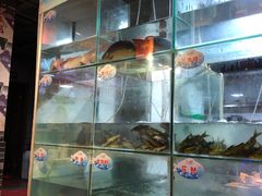 -蛙鱼道美蛙鱼自助火锅(新耍都店)