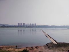 -张坝桂圆林公园