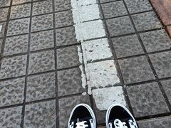 -万绿园
