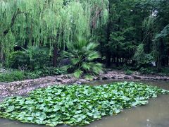 -苏州河梦清园环保主题公园