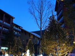 -中旅松花湖滑雪场