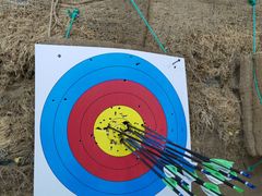 -道顺射箭·团建·骑射(张杨路店)