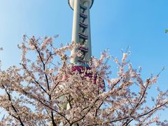 -东方明珠广播电视塔