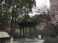 -孝子祠公园