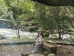 -广州市石门国家森林公园