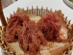 -新雅粤菜馆(南京东路店)