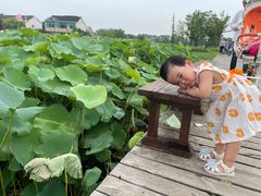 -梁鸿国家湿地公园