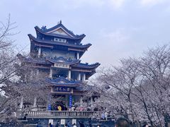 -太湖饭店·寄畅轩中餐厅