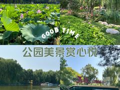 -陶然亭公园