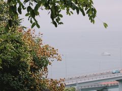 -星海湾跨海大桥