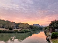 -飞凤山奥体公园