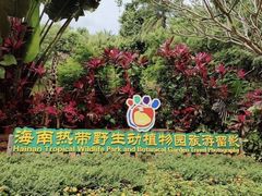 -海南热带野生动植物园