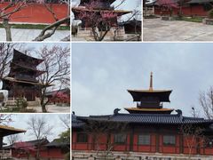 -广富林郊野公园