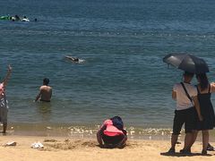 -浅水湾海滩儿童游乐场