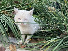 -石家庄市植物园