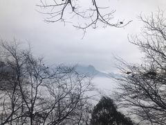 -王莽岭风景区