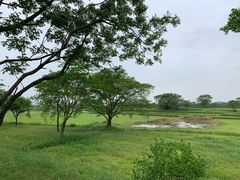 -盘龙城国家考古遗址公园