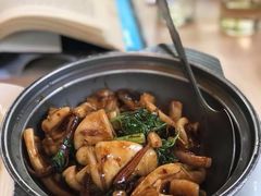 -碧瑶山庄
