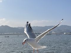 -昆明洲际酒店