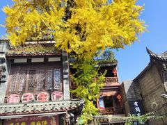 -崇州市街子古镇