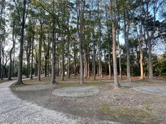 -上海滨江森林公园