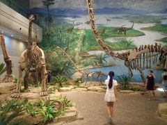 -自贡恐龙博物馆