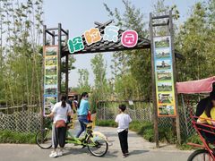 -上海长兴岛郊野公园