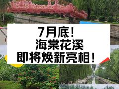 -元大都城垣遗址公园