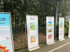 -都江堰中华大熊猫苑