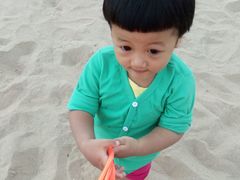 -翡翠岛