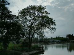 -上海长兴岛郊野公园