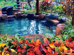 -厦门日月谷温泉渡假村