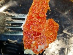 -普兰达德国餐厅·德式脆皮烤猪肘·自酿啤酒(观唐店)