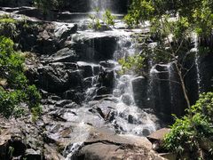 -海南热带雨林国家公园吊罗山景区