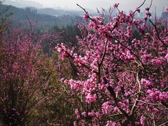 -天台山赤城山景区